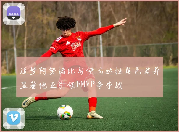 追梦阿努诺比与伊戈达拉角色差异显著他正引领FMVP争夺战