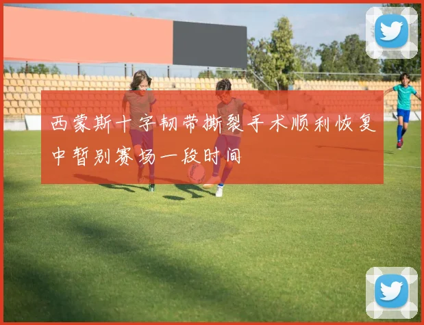 西蒙斯十字韧带撕裂手术顺利恢复中暂别赛场一段时间